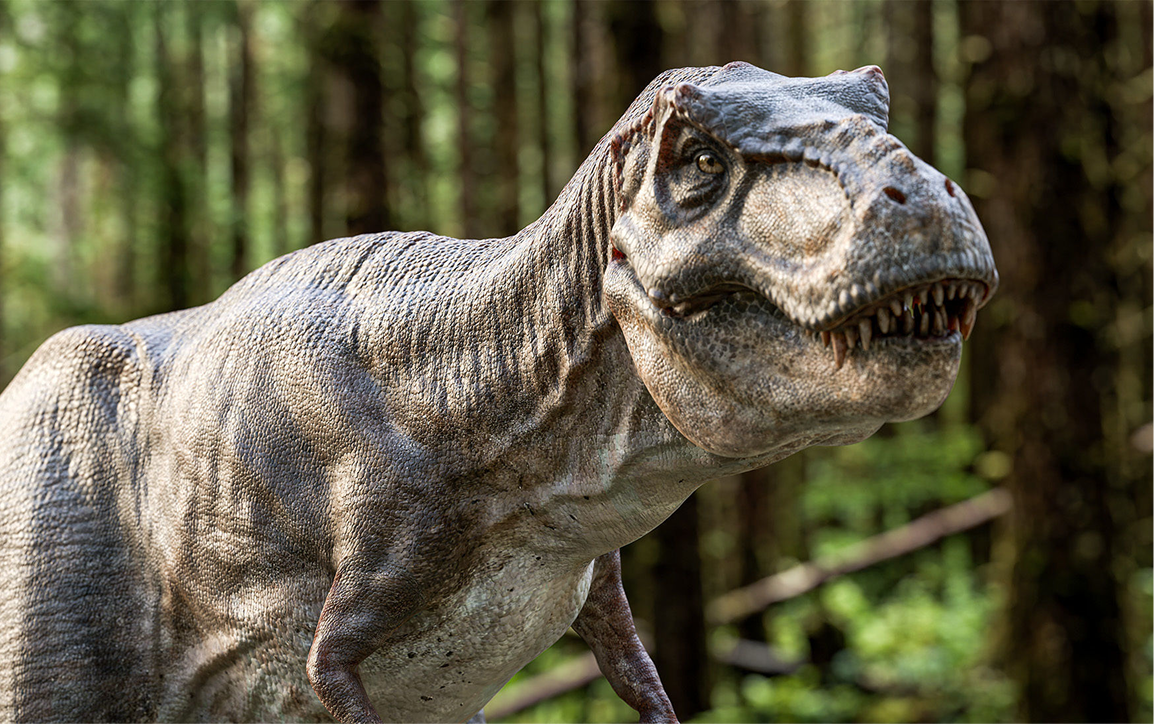 T-Rex